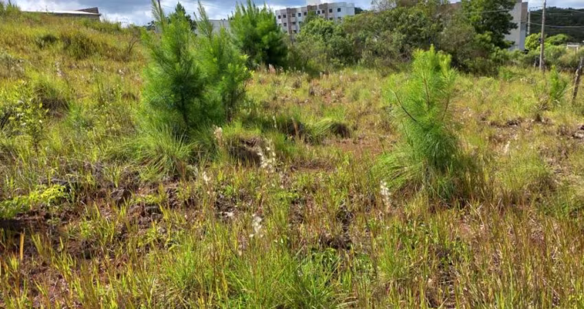Terreno para venda  no Bairro Nossa Senhora das Graças em Caxias do Sul