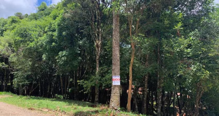 Terreno à venda em Ana Rech, Caxias do Sul