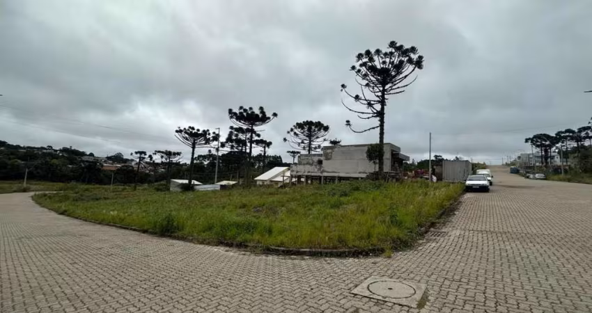 Terreno para venda em Ana Rech, Caxias do Sul