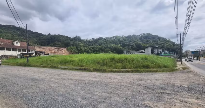 Terreno comercial para alugar na Vila Formosa, Blumenau 