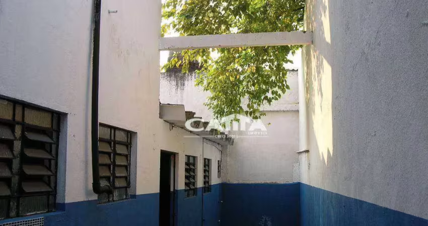 Galpão à venda, 400 m² por r$ 2.800.000,00 - vila nova york - são paulo/sp