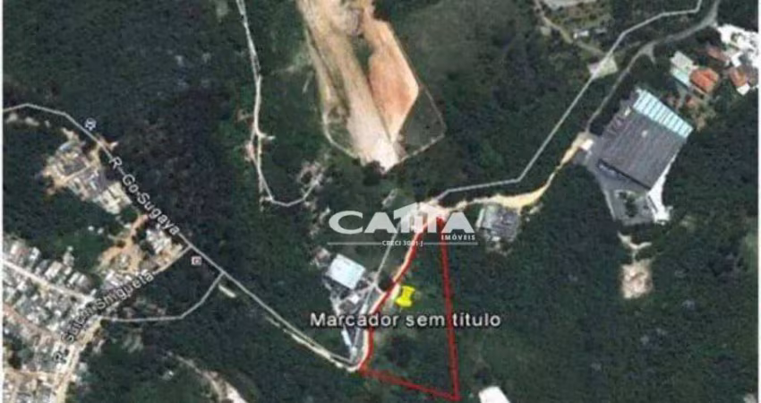 Terreno, 23600 m² - venda por r$ 10.000.000,00 ou aluguel por r$ 10.000,00/mês - colônia - são paulo/sp