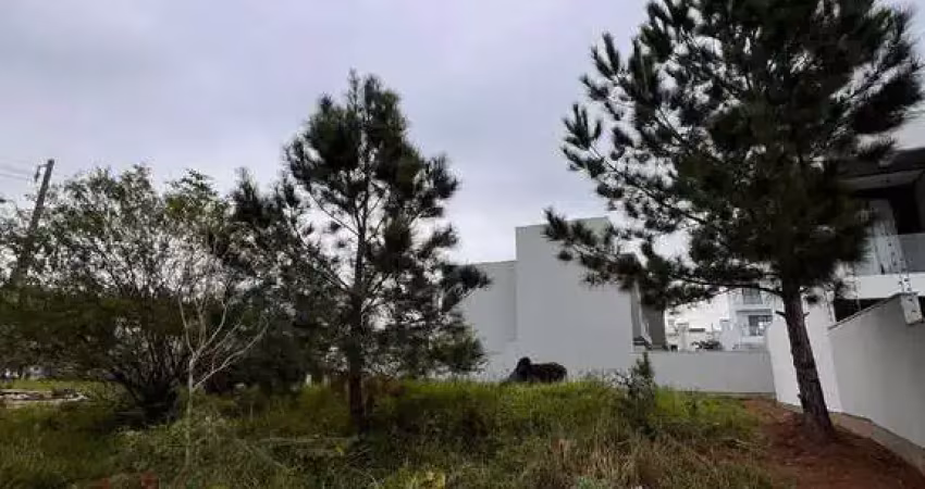 Terreno comercial à venda no São Jacó, Sapiranga 