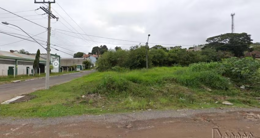 TERRENO Vila Nova Novo Hamburgo