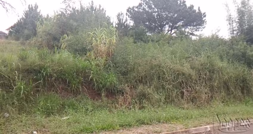 AREA Rondônia Novo Hamburgo