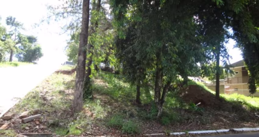 TERRENO Rondônia Novo Hamburgo