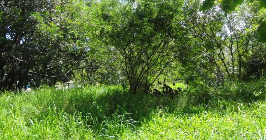 AREA Quatro Colonias Campo Bom