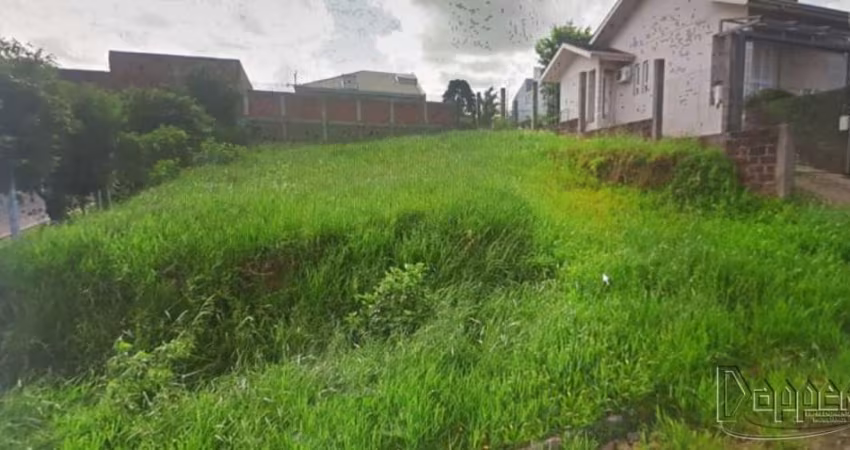 TERRENO Portão Velho Portão