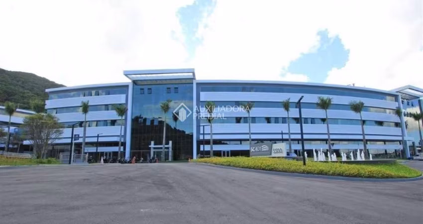 Sala comercial para alugar na Rodovia José Carlos Daux, 5500, Saco Grande, Florianópolis