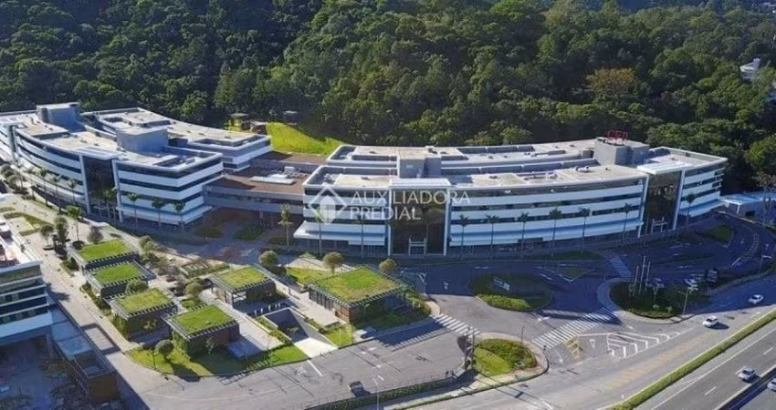 Sala comercial para alugar na Rodovia José Carlos Daux, 5500, Saco Grande, Florianópolis
