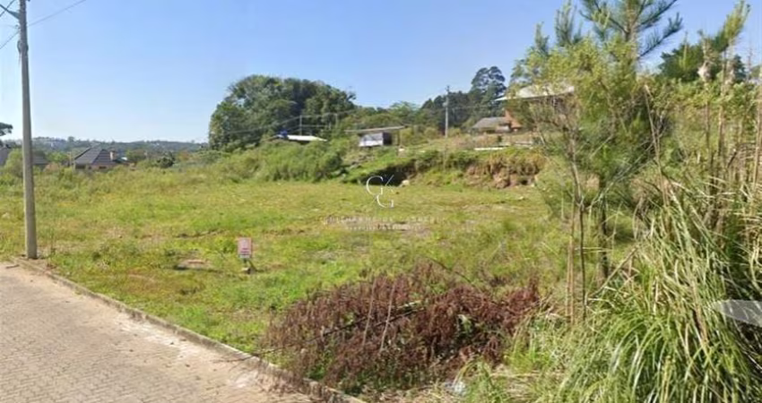 Terreno à venda no São Caetano, Caxias do Sul 