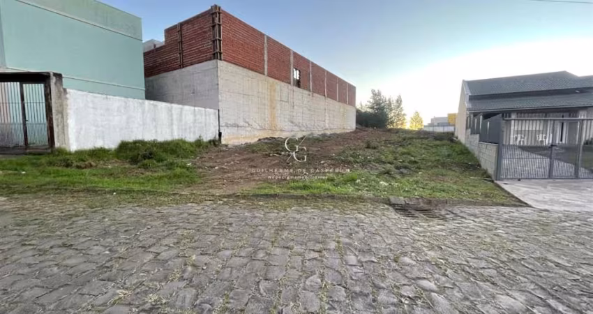 Terreno à venda na Nossa Senhora da Saúde, Caxias do Sul 