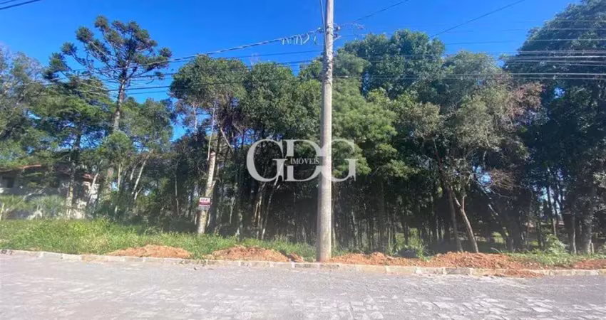 Terreno de 2152,5m² à venda no bairro nossa senhora do rosário, caxias do sul - rs.