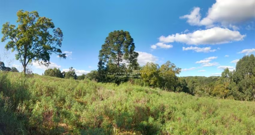 Terreno à venda no São Cristóvão (Distrito), Flores da Cunha 