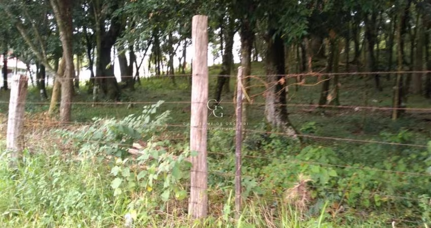Terreno à venda no Cruzeiro, Caxias do Sul 