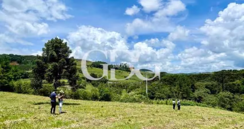 Chácara / sítio à venda no Santa Lúcia do Piaí, Caxias do Sul 