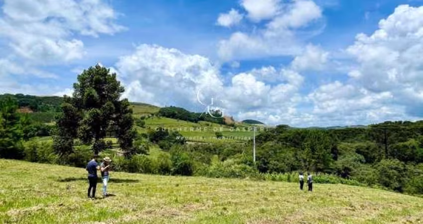 Chácara / sítio à venda no Santa Lúcia do Piaí, Caxias do Sul 