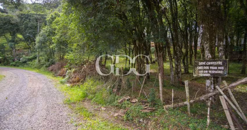 Terreno à venda no Jardim Eldorado, Caxias do Sul 