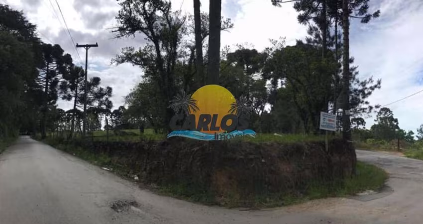 Chácara / sítio com 1 quarto à venda na Francisco Kusman, 544, Contenda, São José dos Pinhais