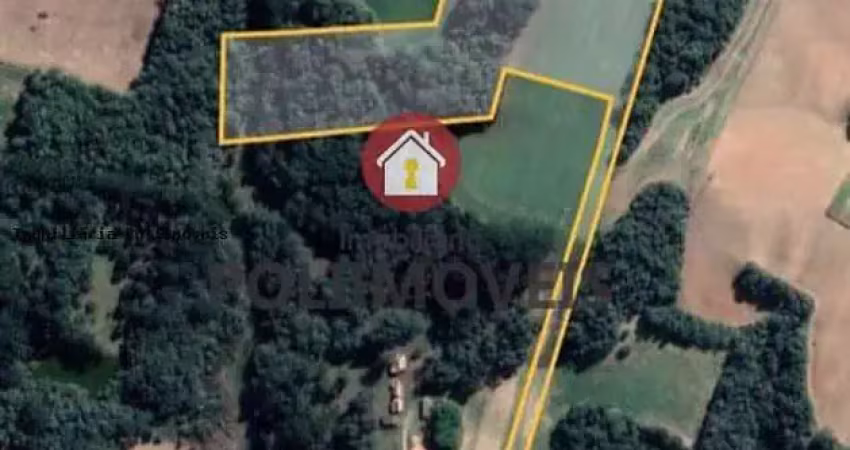 Chácara para venda em araucária, campina das pedras