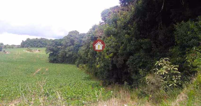 Terreno à venda na Rua Adão Fila, Lagoa Suja, Araucária
