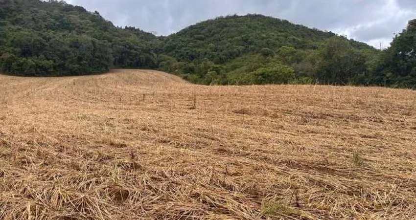 Sítio / Chácara para Venda no bairro Meia Lua dos Freita em Campo Magro, 96800 m² de área total, 96800 m² privativos,