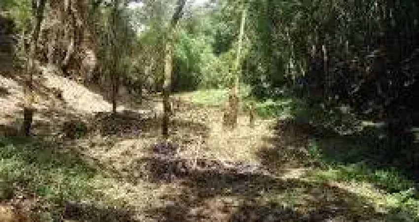 Chácara / sítio à venda na MADIRITUBA - PR, Centro, Mandirituba
