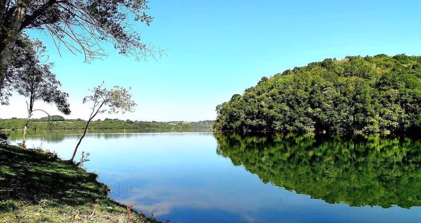 Sítio / Chácara para Venda no bairro Botiatuva em Campo Largo, 20000 m² de área total, 20000 m² privativos,