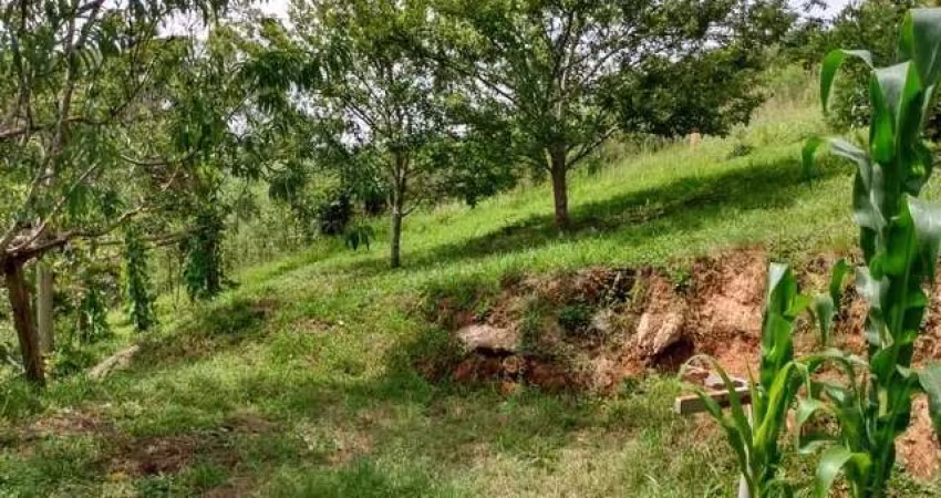 Sítio / Chácara para Venda no bairro São João do Caiva em Lapa, Sem Mobília, 181500 m² de área total, 181500 m² privativos,
