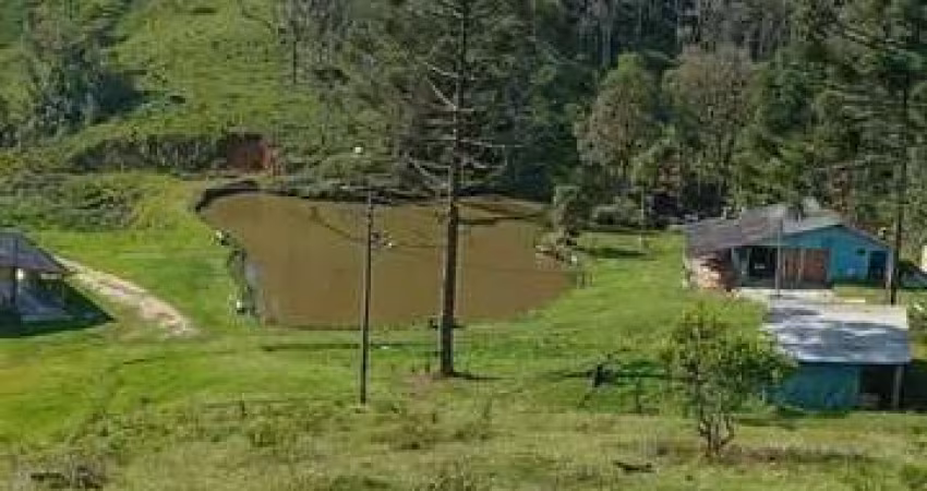 Sítio / Chácara para Venda no bairro Matulao em TIJUCAS DO SUL, 30250 m² de área total, 30250 m² privativos,