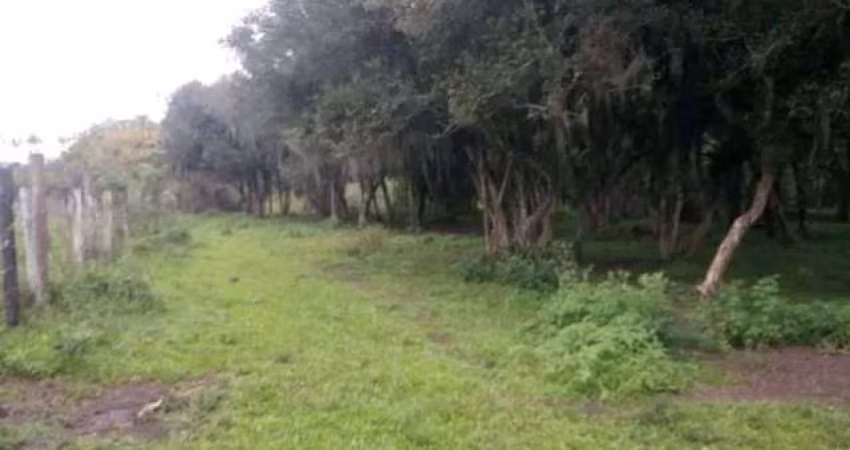 Sítio / Chácara para Venda no bairro Weissópolis em Pinhais, 22000 m² de área total, 22000 m² privativos,