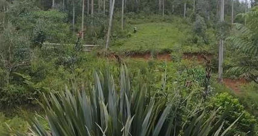 Sítio / Chácara para Venda no bairro RIBEIRÃO DO TIGRE em QUATRO BARRAS, Sem Mobília, 72600 m² de área total, 72600 m² privativos,
