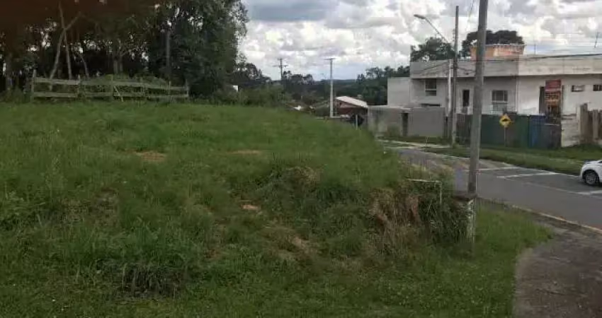 Terreno à venda na Rua Paulo Alves Pinto, ARAUCARIA , Centro, Araucária