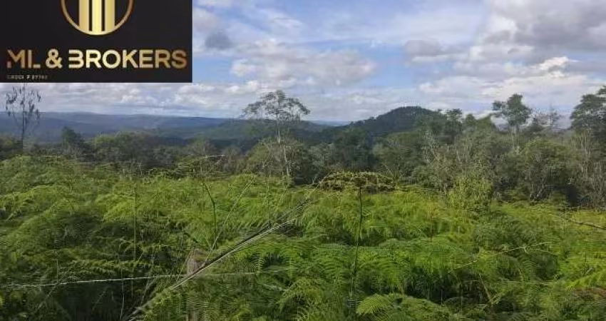 Sítio / Chácara para Venda no bairro SAO SILVESTRE em Campo Largo, 20000 m² de área total, 20000 m² privativos,