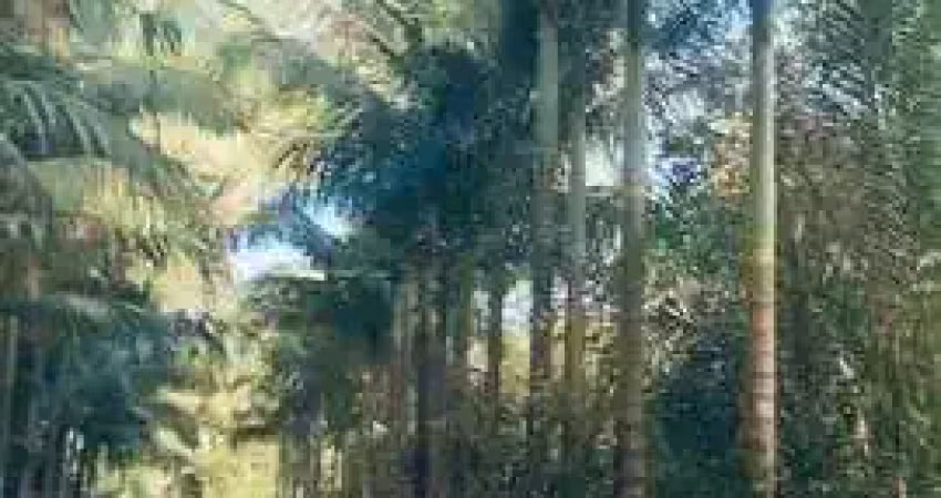 40.000m2 /deck rio cacatu/acesso mar/300 metros frente rio cacatu