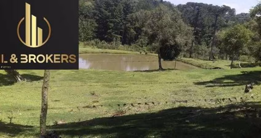 Sítio / Chácara para Venda no bairro AGUA AMARELA em ANTONIO OLINTO, 2 quartos, 4 vagas, 81000 m² de área total, 81000 m² privativos,