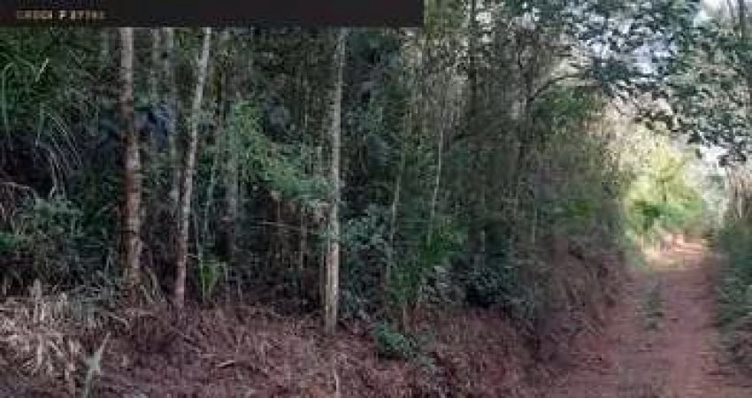 Sítio / Chácara para Venda no bairro Bateias em Campo Largo, Sem Mobília, 157385 m² de área total, 157385 m² privativos,