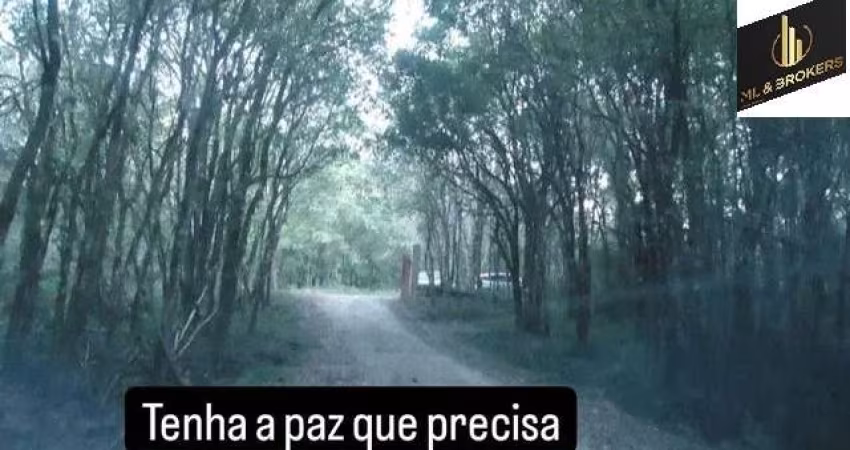 Sítio / Chácara para Venda no bairro COLONIA MARIENTAL em Lapa, 2 quartos, 2 vagas, 30250 m² de área total, 30250 m² privativos,