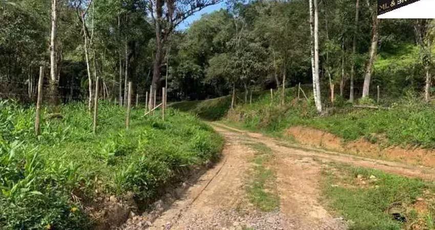 100.000m2/margens pr410 est graciosa/plantação pupunha produzindo