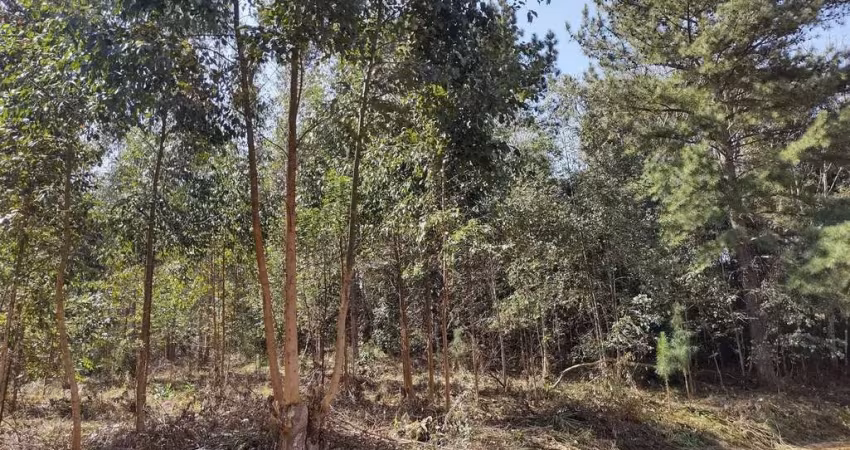 Sítio / Chácara para Venda no bairro Zona Rural em Mandirituba, 31147 m² de área total, 31147 m² privativos,