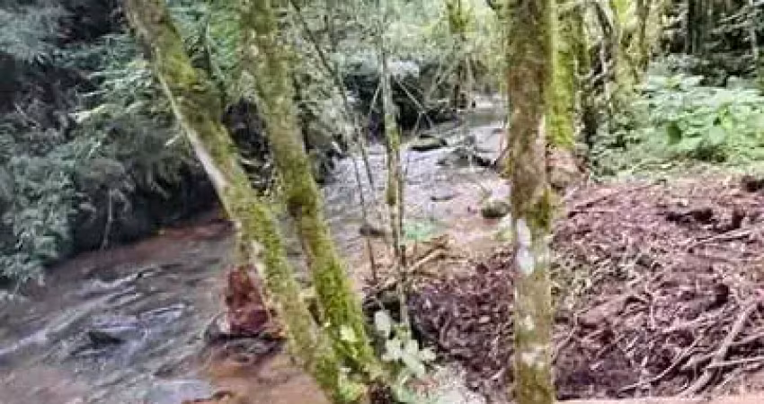 Chácara / sítio à venda no Capivari, Colombo 