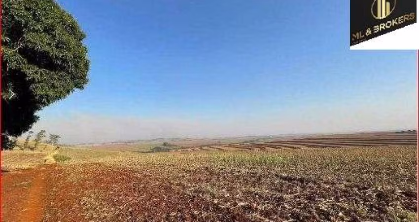 Sítio / Chácara para Venda no bairro Zona Rural em Ourizona, Sem Mobília, 822800 m² de área total, 822800 m² privativos,