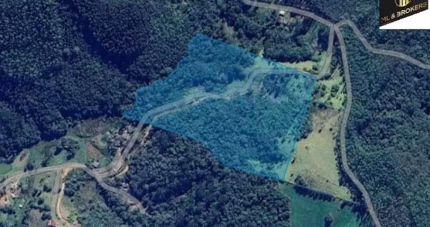 58.300m2/rio divisa/documentação ok/ideal investidor