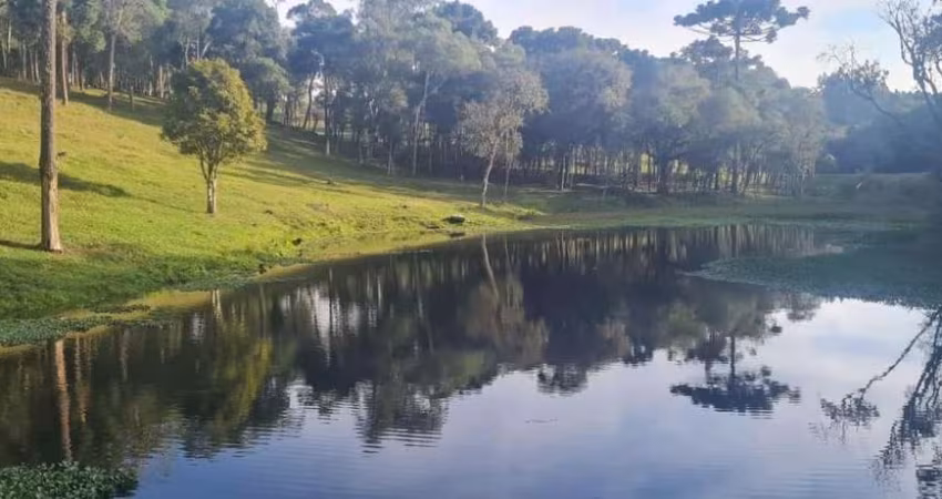 Sítio / Chácara para Venda no bairro Areia Branca dos Assis em Mandirituba, 2 quartos, 4 vagas, Semi-Mobiliado, 66700 m² de área total, 66700 m² privativos,