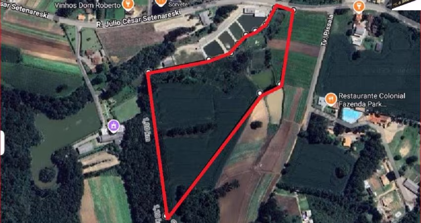 Sítio / Chácara para Venda no bairro Colônia Murici em São José dos Pinhais, Sem Mobília, 57000 m² de área total, 57000 m² privativos,