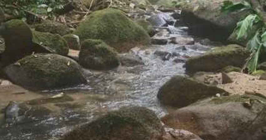 Sítio / Chácara para Venda no bairro COLONIA QUINTILHA em PARANAGUA, Sem Mobília, 160000 m² de área total, 160000 m² privativos,