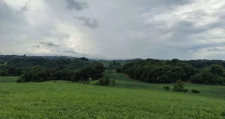 Sítio / Chácara para Venda no bairro BARREIROS em Campo Magro, Sem Mobília, 222600 m² de área total, 222600 m² privativos,