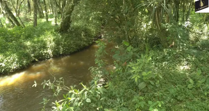 Chácara / sítio à venda na Rodovia BR 116, Colonia Lima, Mandirituba