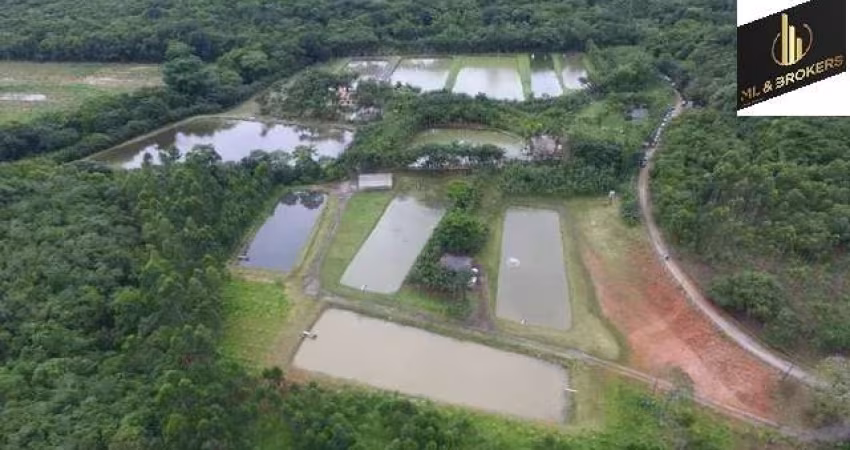 Sítio / Chácara para Venda no bairro COLONIA QUINTILHA em PARANAGUA, 3 quartos sendo 1 suíte, 10 vagas, Mobiliado, 109816 m² de área total, 109816 m² privativos,
