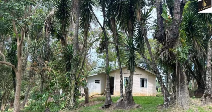 Sítio / Chácara para Venda no bairro Zona Rural em Reserva, 3 quartos, 5 vagas, Semi-Mobiliado, 375100 m² de área total, 375100 m² privativos,